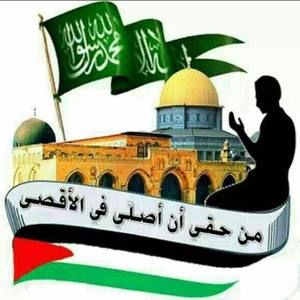 Meet your Posher, Amer